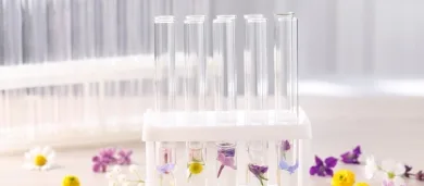KNOWHOW en innovatie