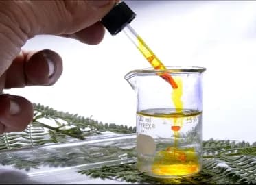 Laboratorietester och föreskrifter