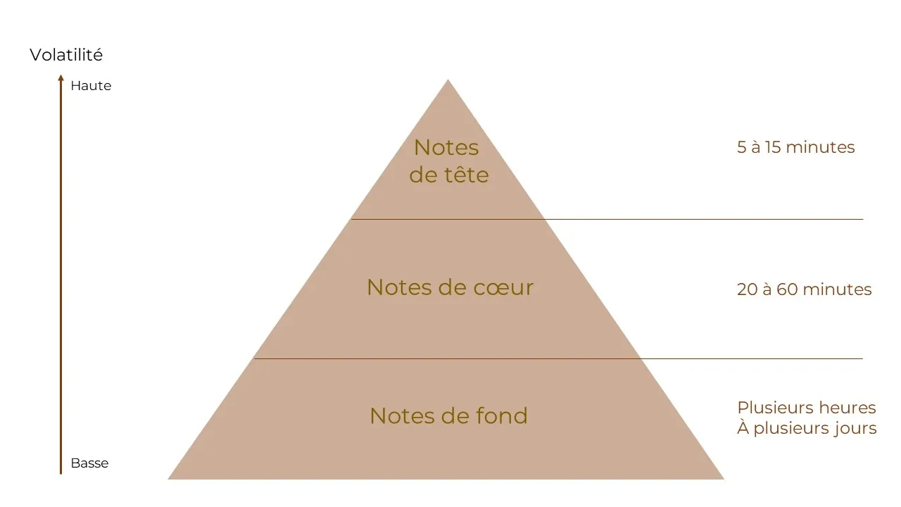 Duftpyramide: topp-, hjerte- og basenoter